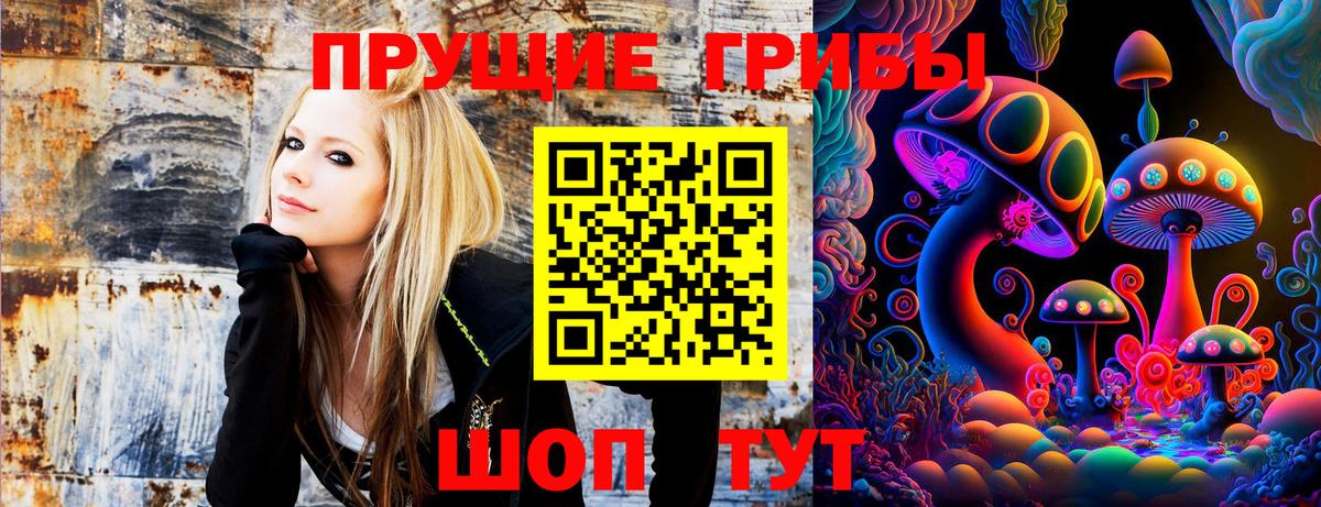 Канаш  Псилоцибиновые грибы GOLDEN TEACHER  Вход с VPN 